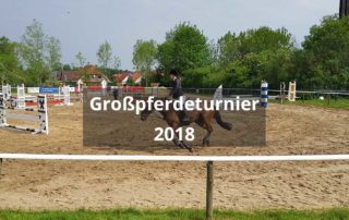 Großpferdeturnier am 12.05.2018||Großpferdeturnier am 12.05.2018||Großpferdeturnier am 12.05.2018||Großpferdeturnier am 12.05.2018