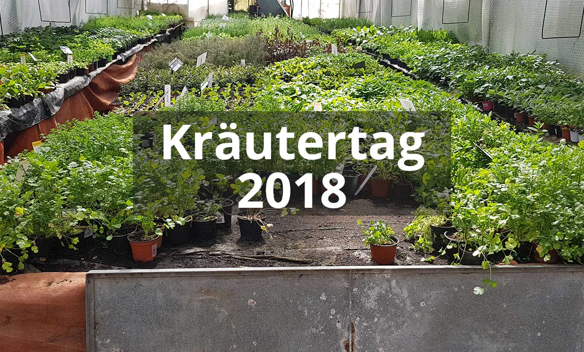 Kräutertag 2018 - Gärtnerei Blohm||Coca-Cola-Strauch