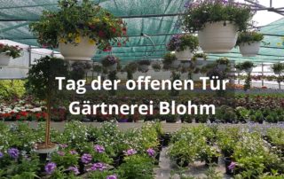 Tag der offenen Tür bei Gärtnerei Blohm