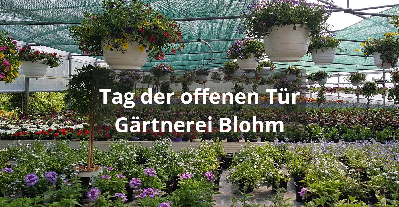 Tag der offenen Tür bei Gärtnerei Blohm