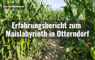 Erfahrungsbericht zum Maislabyrinth in Otterndorf||Maislabyrinth in Otterndorf - Der Eingang||Maislabyrinth in Otterndorf
