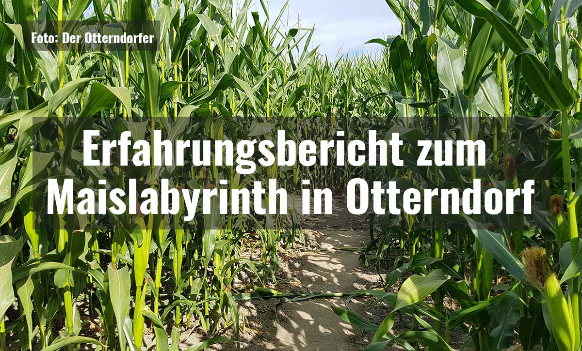 Erfahrungsbericht zum Maislabyrinth in Otterndorf||Maislabyrinth in Otterndorf - Der Eingang||Maislabyrinth in Otterndorf