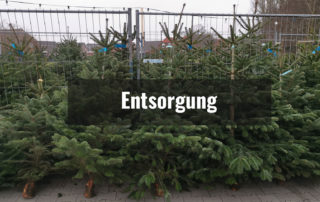 Weihnachtsbaum-Entsorgung