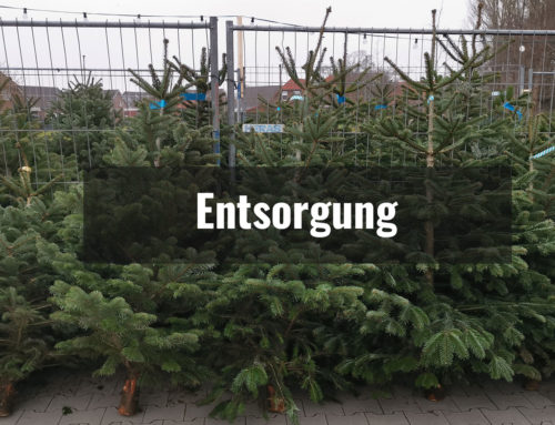 Weihnachtsbaum in Otterndorf entsorgen